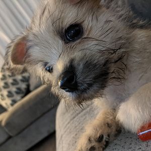 Meet your Posher, Jeremy